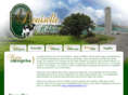 louiselleholstein.com