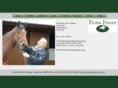 theequineestablishment.com