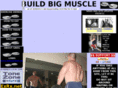 buildbigmuscle.com