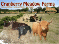 cranberrymeadowfarm.com
