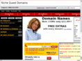 nichequestdomains.com