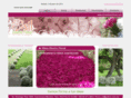 silviadisenofloral.com