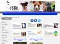 cbbr.info