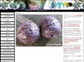 cindygimbronebeads.com