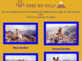 dogsonhills.com