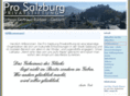 prosalzburg.com