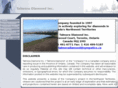 talmoradiamond.com