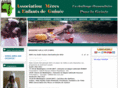 ameg-guinee.org