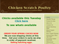 chickenscratchpoultry.com