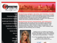 consultingandthecity.com