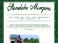 stonelakemorgans.com