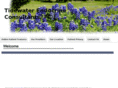 tidewaterendo.com