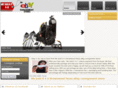 wesoldit4-u.com