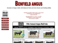 benfield-whiteridge.com