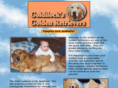 goldilocksgoldens.com