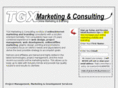 tgxconsulting.com