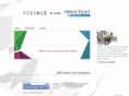 vizible.com