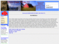 wvminerals.com