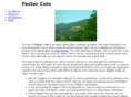 fastercoin.com