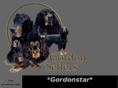 gordonstar.com