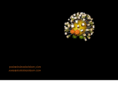 studioblackburn.com