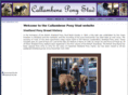 callambene.com