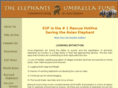 elephantsumbrella.org