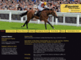 king-of-speed.com