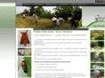 punjenhide-a-way.com