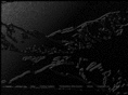 timberlinegallery.com