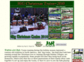 bigchristmastrains.com