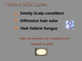 hairodor.com