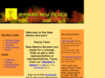 nmburners.com
