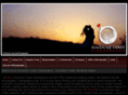 sunshinecoastvideo.com.au