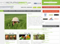 whos-recruitingdirect.com