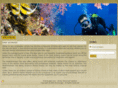 divevoyager.com