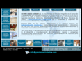 geomecanicalatina.com
