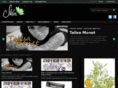 skin-inc.net