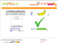 smspuls.de