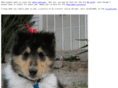 amnesiak.com