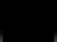 arvinandashq.com