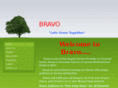 bravodreams.com