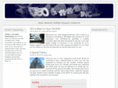 ceoandbearinc.com