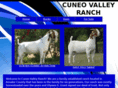 cuneovalleyranch.com