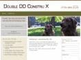 ddconstrux.com