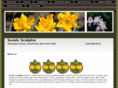 scenicsculptor.com