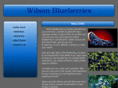 wilsonblueberries.com
