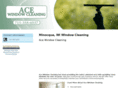 acewindowcleaningwi.com