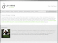 dynamotraining.com