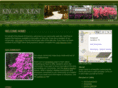 kingsforest.org